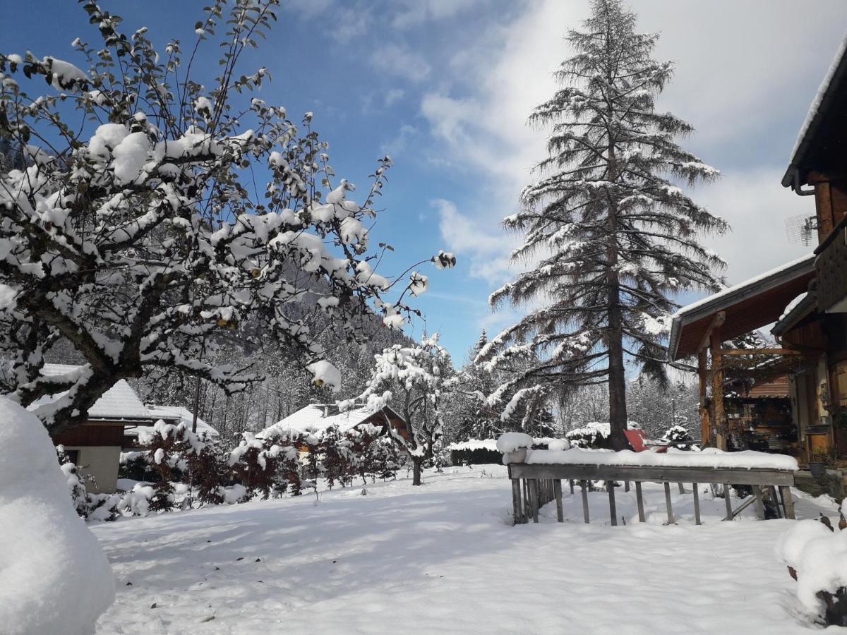 Mazot Chalet